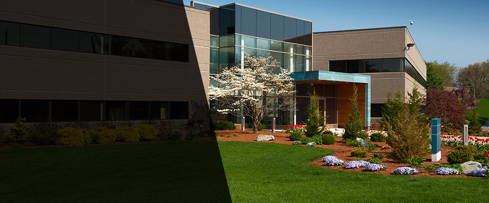 Lawson Landscapers