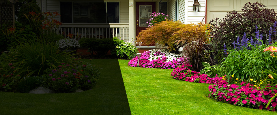Lawson Landscapers