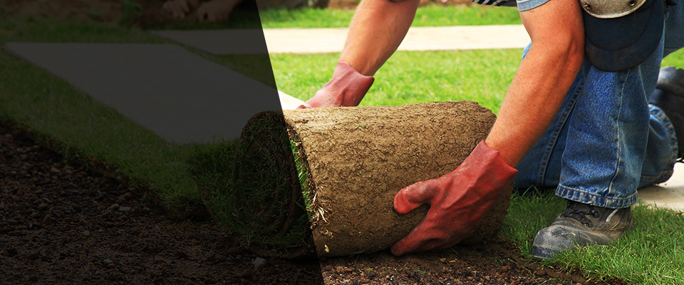 Lawson Landscapers